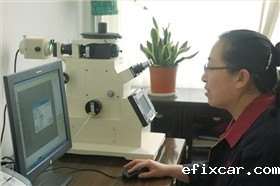 18luck在线娱乐网技术中心金相分析系统