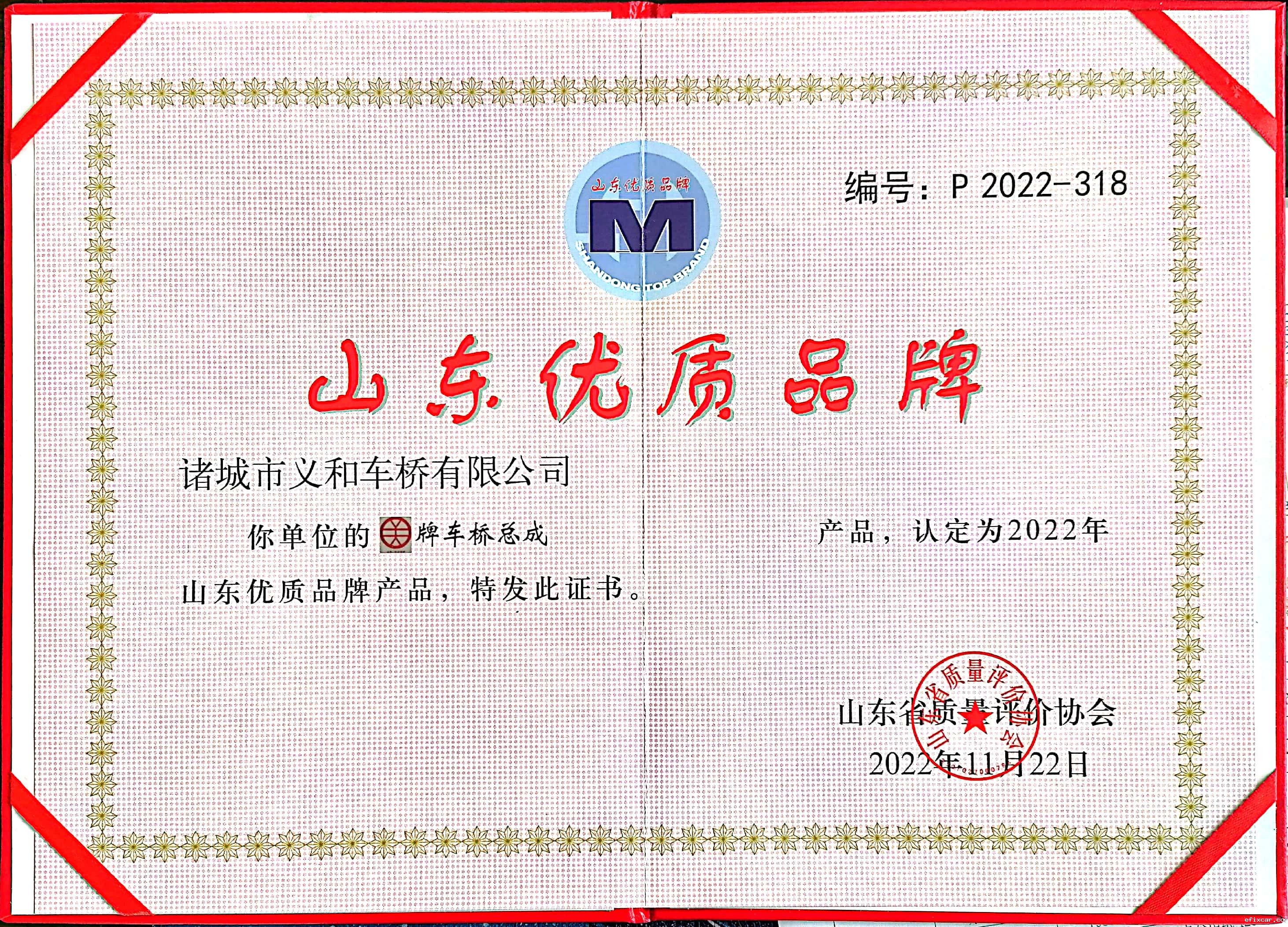 11山东优质品牌